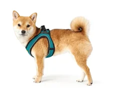 Hunter NY Hilo Comfort hundesele S-M turkis mave/bryst 52-58 cm - Fleksibel komfort og støtte