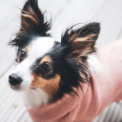 Hunter Röglatrøje 30 Rosa