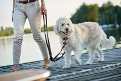Hunter Sansibar Solid 40 Hundehalsbånd i læder - 30-36 cm