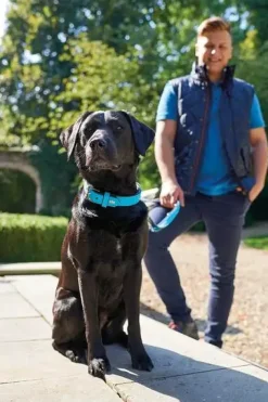 Hunter Softie hundehalsbånd 55 cm brun - 42-50 cm indstilling