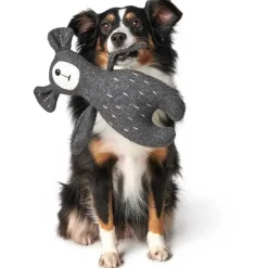 Hunter Tirana Bjørn M - bamse til mellemstore hunde