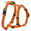 Hunter Tripoli hundesele orange XXS-XS