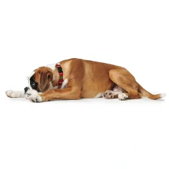 Hunter Vario Plus Halsbånd Rød S 30-45 cm - Komfortabelt og justerbart hundehalsbånd