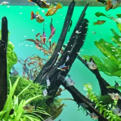 JBL ProNovo Bel fiskefoder 1 liter Flagefoder