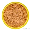 JBL ProNovo Betta Insektsticks S 100 ml
