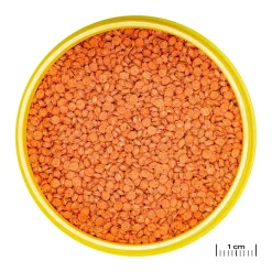 JBL ProNovo Bits Diskus Grano M 250 ml Click