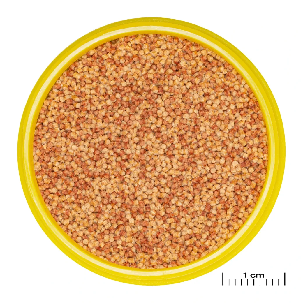 JBL ProNovo Color Grano S 100 ml
