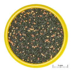 JBL ProNovo Guppy Grano S 250 ml Click