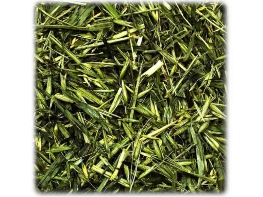 JR Grøn Havre 100 g