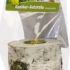 JR Snack Trærulle Mælkebøtte 100 gram