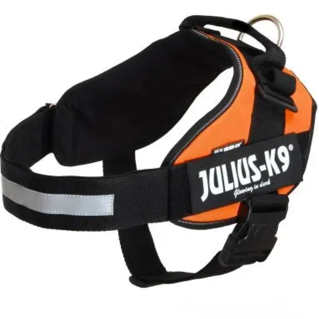 Julius K9 IDC hundesele str 2 Orange
