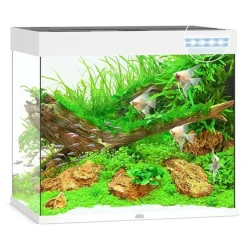 Juwel Akvarium Lido 200 Liter i Hvid 70x51x65 cm