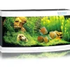 Juwel Aquarium VISION 260 LED Hvid
