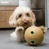 KONG Bamboo Ball 12 cm - aktiveringslegetøj til hunde