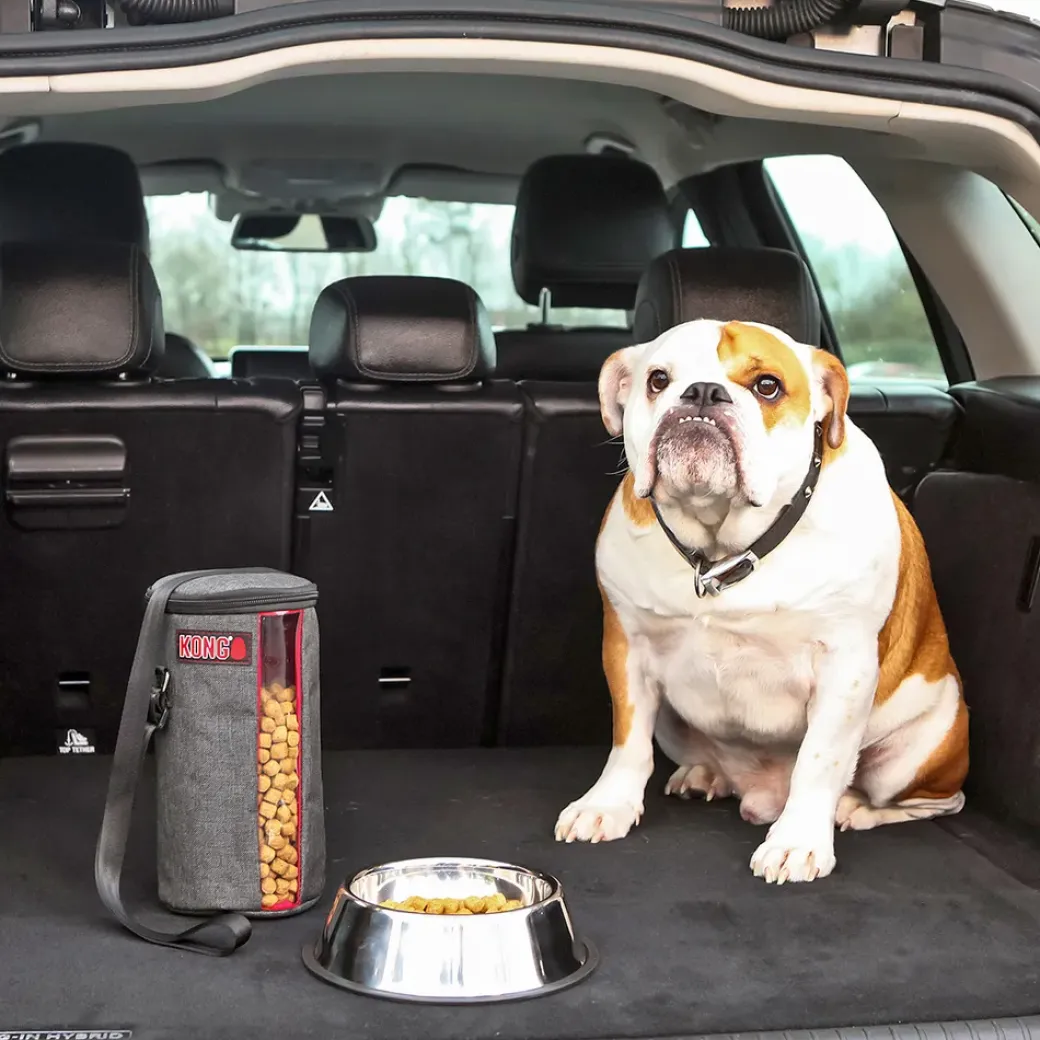 Kong Kibble Storagebag 25x13x13 cm