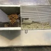 Labbur 4 (rottebur) brugt