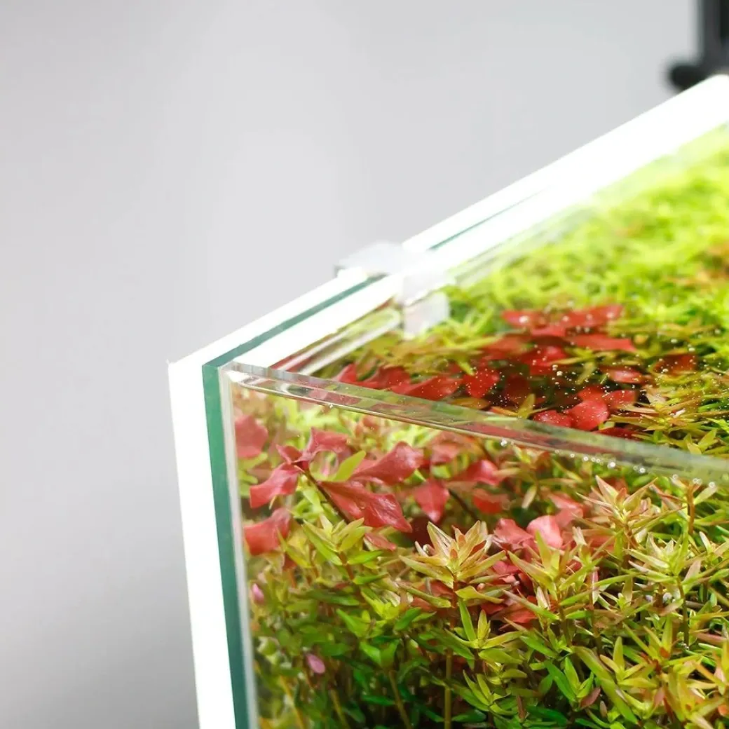 LED Lys Baggrund til akvariet 50x35x1 cm