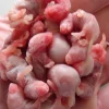 Levende pinkie (sendes ikke)