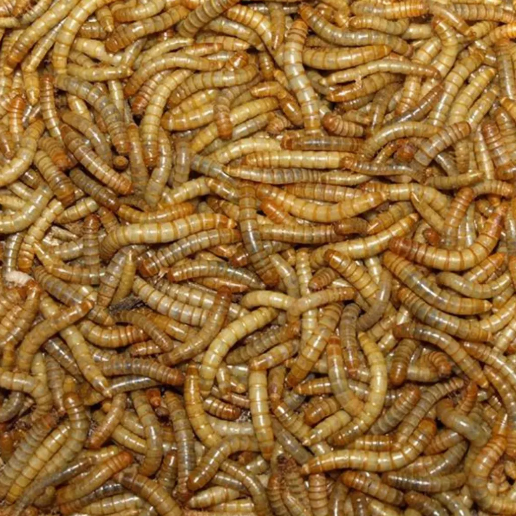 Melorme Tørret 1 kg