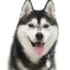 My Family Hundetegn Friends Siberian Husky Sort