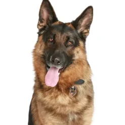 My Family Hundetegn Friends Schæferhund Brun