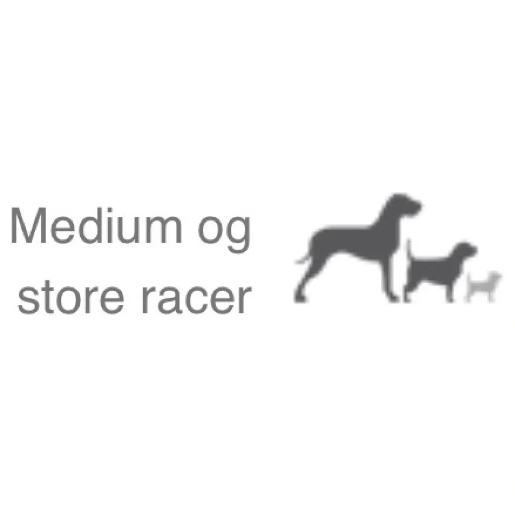 Natura Diet Fisk og ris hundefoder 12 kg - Skånsomt og naturligt