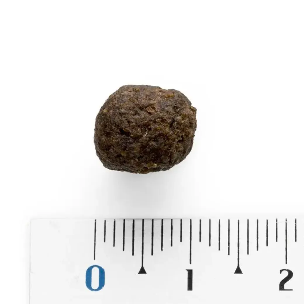 Natura Diet Puppy Junior hvalpefoder 500 g til sund vækst