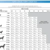 Natura Diet Puppy Junior Hvalpepakke 10 x 500 g