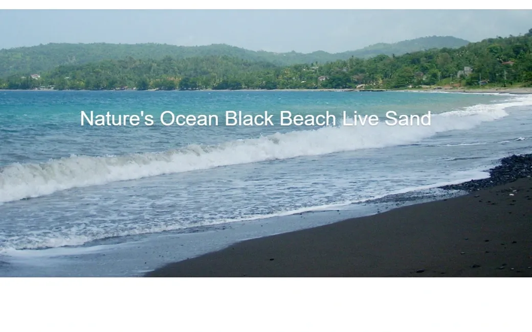Natures Ocean Live Hawaii Black Beach Sand 4,54 kg 0,5-1,7 mm