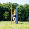 Pawise Hunde Agility Slalom 12 stk pæle - sjov hundetræning