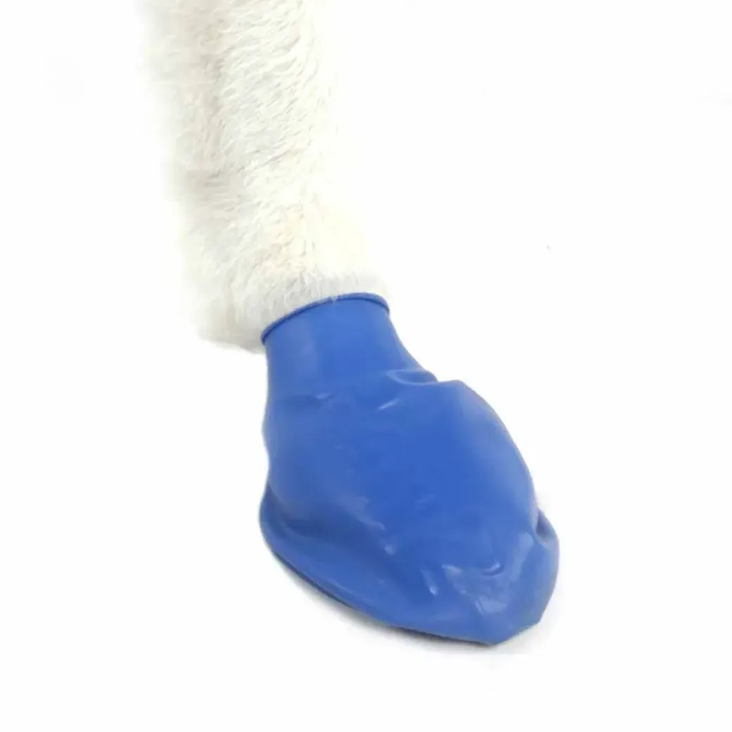 Pawz hundesko Medium 7,6 cm blå