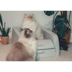 Petsafe ScoopFree Auto Clumping Litterbox Kattetoilet PAL10-17992