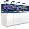 Red Sea Akvarium Reefer 3XL 900 Deluxe Hvid