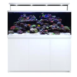 Red Sea MAX S-650 Liter Hvid G2
