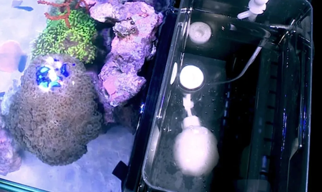 Red Sea Nano Max Complete Reef System Sort G2