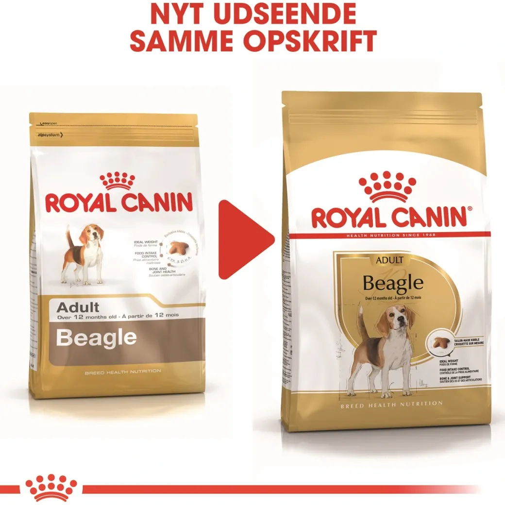 Royal Canin Beagle Adult 12 kg - tørfoder til voksne hunde