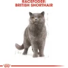 Royal Canin British shorthair 400 gram