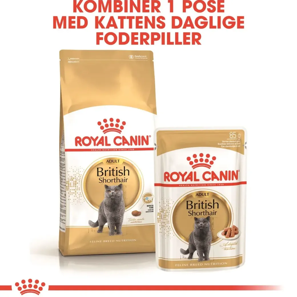 Royal Canin British shorthair 400 gram