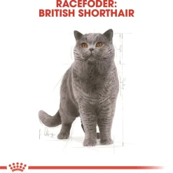 Royal Canin British shorthair 2 kg