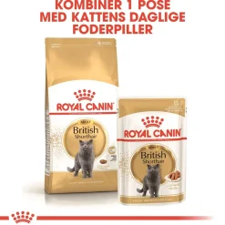 Royal Canin British shorthair 2 kg