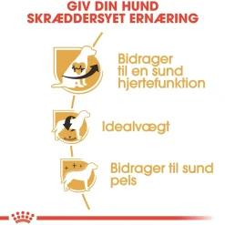 Royal Canin Cavalier King Charles Adult 7,5 kg - tørfoder til voksne hunde