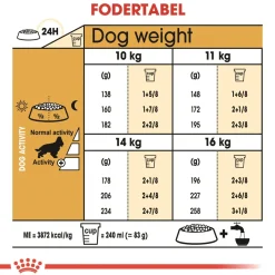 Royal Canin Cocker Spaniel Adult 12 kg - tørfoder til voksne hunde