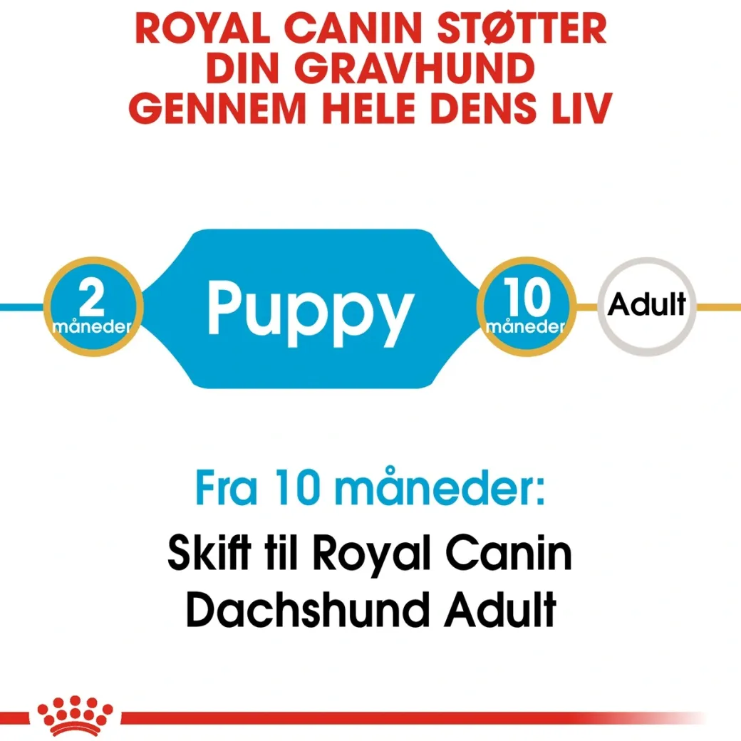 Royal Canin Dachshund Puppy 1,5 kg - tørfoder til Gravhund hvalpe