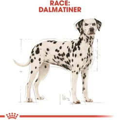 Royal Canin Dalmatian Adult 12 kg - tørfoder til voksne hunde