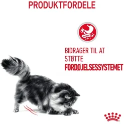Royal Canin Digestive Care 4 kg
