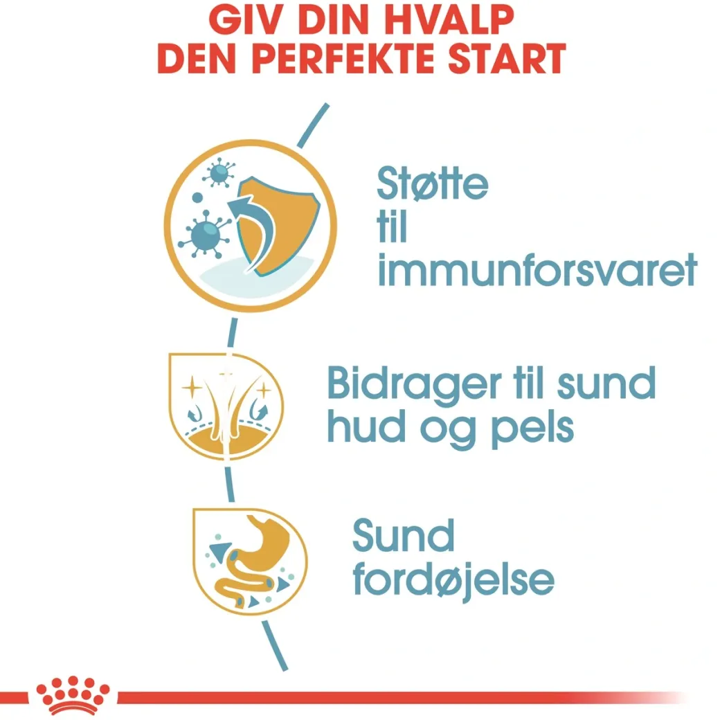 Royal Canin Golden Retriever Puppy 12 kg - tørfoder til hvalpe