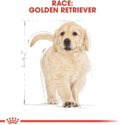 Royal Canin Golden Retriever Puppy 12 kg - tørfoder til hvalpe