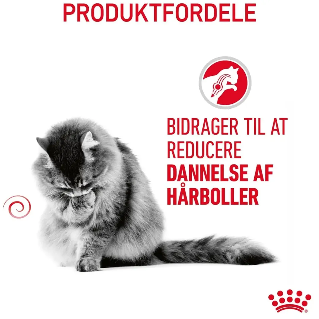 Royal Canin Hairball Care 4 kg