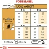 Royal Canin Jack Russell Adult 12 kg - tørfoder til voksne hunde