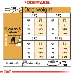 Royal Canin Jack Russell Adult 12 kg - tørfoder til voksne hunde